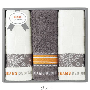 BEAMS DESIGN r[XfUC `FbJ[o_i^I tFCX^I 3Zbg 51-3139300 (O[/lCr[) (kCE)y_