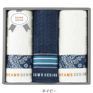 BEAMS DESIGN r[XfUC `FbJ[o_i^I tFCX^I 3Zbg 51-3139300 (O[/lCr[) (kCE)y_