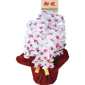  A[eBtBVt[  5{Ӓ(Dt/) zCgr[eB[ ncr-24019-5-wb-fd (kCE)y_