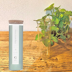 more from less CZXZbg Green GAReden IN-03GG y_