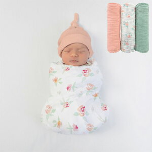 XhfUCY XuPbg 3Zbg s[`sNt[ SDM-1023WPPF y_