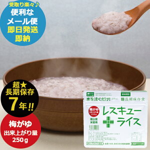 hАH XL[CX 1H ~ RR-OKU40Y7 Xv[t ()(ܖ:2032/9)([/4/s)y ۑ _