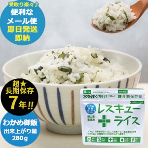 XL[CX 1H 킩߂ RR-WA100Y7 Xv[t ()(ܖ:2032/9)  ([/4/s)y_ ۑ _