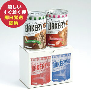 hАH AST VH x[J[ ʓ\tgp 2 321307 `R C`S ()(ܖ:2027/6) y ۑ zy_