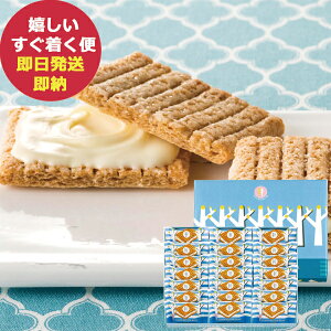 VK[o^[Th̖ 21 ()(ܖ:2025/12/16) (kCE)y_