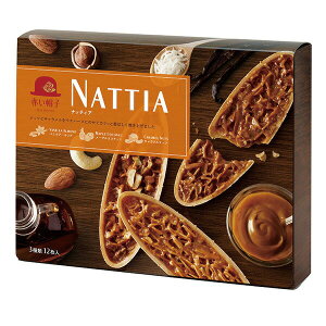 ԂXq ibeBA 12 y t^ mَq XC[c z_