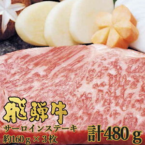  ˋ T[CXe[L 480g(160g×3) NP-27 lIvCqO` (kCE)yC_ 25wg _