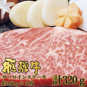  ˋ T[CXe[L 320g(160g×2) NP-36 lIvCqO` (kCE)yC_