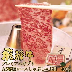  ˋ v~AMtg A5 [XԂԗp 400g NP-84 lIvCqO` (ꕔO)yC_ 25wg _