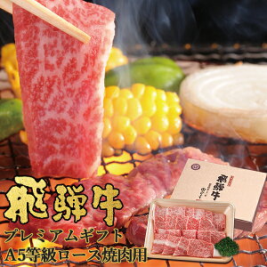  ˋ v~AMtg A5 [Xēp 400g NP-85 lIvCqO` (kCE)yC_ 25wg _