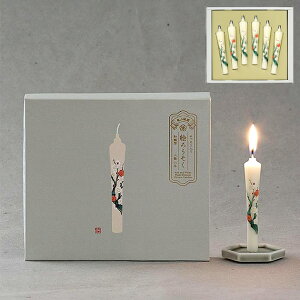 J} XG낤Mtg ~ T2598-00-00 (kCE)y Ԃ낤 [\N i z_