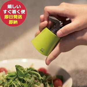 vW[ ybvX \gVF[J[ O[ 8cm 30902 PEUGEOT () (kCE)y_