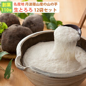 2025 お中元 【楽天1位】丹波篠山産 山の芋 生とろろ1箱 YS60（60g×12袋） 山芋 河南勇商店 ギフト のし対応可 夏ギフト