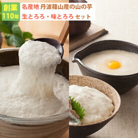 2025 お中元 丹波篠山産 山の芋 味とろろ1箱 YT60（60g×15袋） 山芋 河南勇商店 ギフト のし対応可 夏ギフト