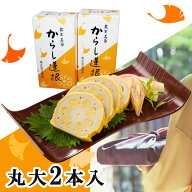 お中元 2026 父の日 熊本名産 からし蓮根　2本入り 高見商店 れんこん・レンコン ギフト のし対応可 夏ギ…