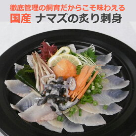 楽天市場 ナマズ 刺身の通販 楽天市場 ナマズ 刺身の通販
