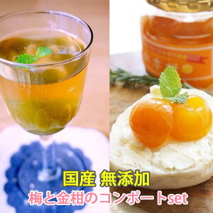 hV̓ Y Y ~ ÎρEØI R|[g u~v×2rƋ@R|[g ØI uv×2r̃Zbg a̎RY̔~ {茧Y̋ F؎Y Mtg ̂Ή