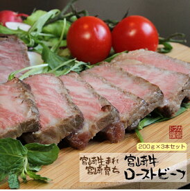 宮崎牛ローストビーフ3本セット カリー専門店 トプカ ギフト のし対応可