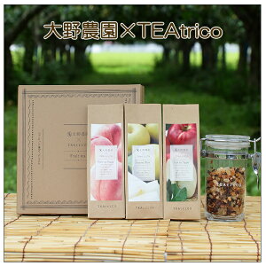 お歳暮 大野農園フルーツティ3種ギフト(りんご、もも、なし) ギフト のし対応可 冬ギフト