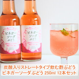 国産 ビネガーソーダぶどう250ml×12本セット アサヤ食品 ビネガードリンク AsayaVinegar