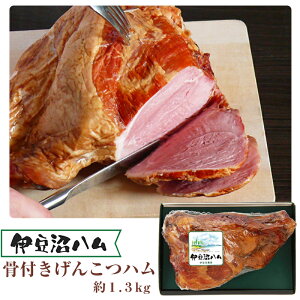 Ε ɓn t񂱂n 1.3kg I-113 ɓ_Y Mtg ̂Ή