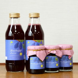Ε nXJbvl`W[X500ml×2{EW150g×3r oCIAO Mtg ̂Ή