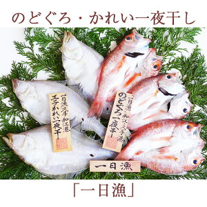 お歳暮 のどぐろ・かれい一夜干「一日漁」 ノドグロ(アカムツ)・エテカレイ(宗八カレイ) 国産 島根産 無添加 岡富商店 -おかとみ- ギフト のし対応可 冬ギフト