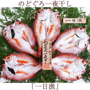 お歳暮 のどぐろ一夜干「一日漁」小 70〜100gサイズ(5〜6枚) 国産 島根産 無添加 岡富商店 -おかとみ- ギフト のし対応可 冬ギフト