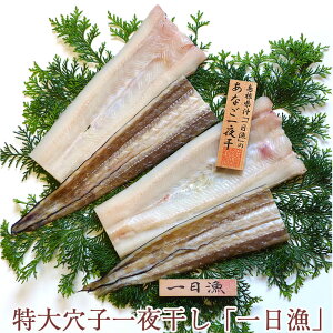 Ε 匊q銱uv Ȃ2(v500g) Y Y Y xX -Ƃ- Mtg ̂Ή ~Mtg