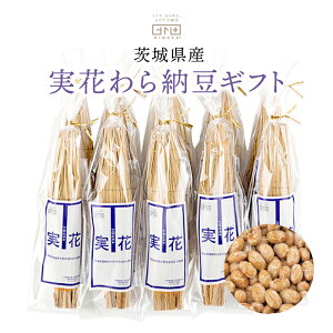 錧Y ԁij[Mtg@70g × 10{Zbg 錧Y[哤gp Ђ̔[ HIGETA