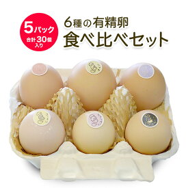 楽天市場 有精卵 孵化用の通販