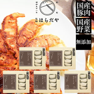 お歳暮 交野はらだや 牛すじ生ぎょうざ40個 (牛すじ8個入5箱) 無添加 国産素材 ギフト のし対応可 冬ギフト