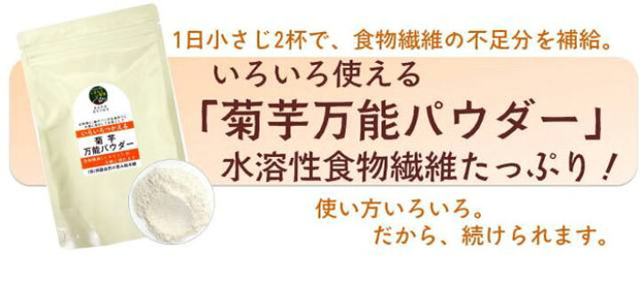 546円 熱販売 菊芋万能パウダー 100g 阿蘇自然の恵み総本舗