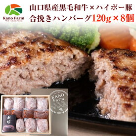 山口県産 黒毛和牛 と鹿野ファームの豚肉の 合挽きハンバーグ 120g×8個 鹿野ファーム 四元豚 ハイポ―豚 のし対応可