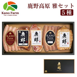 Ε n \[Z[W 썂 5 Zbg YT-503ie҂|[NECi[/`[YECi[/ē/JifBA[Xn/{Xnj t@[ l nC|? ̂Ή 