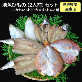 島根県産 地魚ひもの（2人前）セット（白かれい・あじ・かます・れんこ鯛） ご自宅用 国産 無添加 岡富商店 -おかとみ-