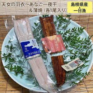 Ε V̉H߁`Ȃ銱āie1j  Y Y Y xX -Ƃ- Mtg ̂Ή ~Mtg