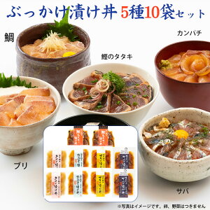 Ε ẙCN5Zbg10܁iĂ̂EEToEJp`Eu e2܁j ԂЂ FEۑY FH[ Mtg ̂Ή ~Mtg