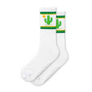 GNXg|Cg C fB[X Y \bNX  Xj[J[R[f R[f CR[f bOt@bV |Cg  l w q jq Z q 