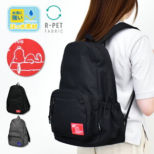 Xk[s[ s[ibc bN fCpbN a4 e 20L  Vv TCh|Pbg wʃ|Pbg fB[X q ʋ ʊw s mobO l w w q 킢  L