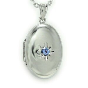 PT900v`i Pbg Pbgy_g ʐ^  sP[X v`iPbg ȉ~` I[o^ ^UiCg Gh Tt@CA r[ sNTt@CA VR a 