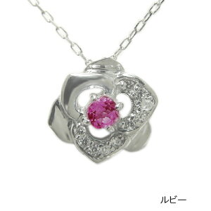 y_g K18zCgS[h CG[S[h sNS[h lbNX KN  Ԃт t[ Tt@C Gh sNTt@C r[ _Ch J[Xg[ F 