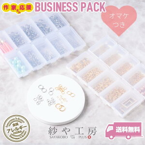 ۃJ XeX SUS304 S8TCY×2FZbg P[Xt ANZT[ p[c nhChp[c S[h Vo[ 840O AM[Ή ≮ ڑp[c b WCg 