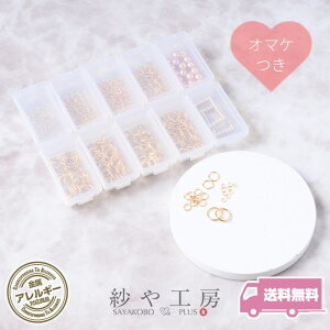 ۃJ XeX SUS304 S8TCYZbg P[Xt ANZT[ p[c S[h 420O AM[Ή ≮ ڑp[c b WCg Ȃ J AM[t[ GOLD