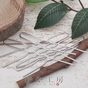 y񂴂p[c U(10cm)5zVo[ wA[XeBbN  {JUV wA  ≮  Gݏ f i ANZT[ p[c nhCh nhChp[c 