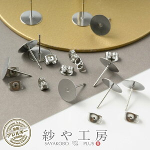 yXőP20{zsAXp[c 316L XeX Lb`t ANZT[ p[c Vo[ 12mm 5yA 10mm M ێM AM[Ή AM[Ή T[WJXeX ≮ Xe