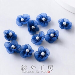 yXőP20{zt[p[c  ANZT[ p[c lCr[ 12mm 10 r[Yt `[t EGfBO 1.2cm uC_  p[eB[ ≮ \t  nhChp