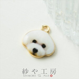 `[  rW  ANZT[ p[c zCg 14mm 1 Jt hbO ANZT[`[ 1.4cm ≮ ^p[c `[ p[c nhChp[c H[ 