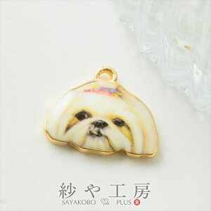 `[  yLj[Y  ANZT[ p[c zCg 13mm 1 Jt hbO ANZT[`[ 1.3cm ≮ ^p[c `[ p[c nhChp[c H[ 