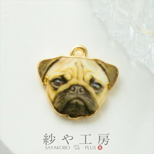 yXőP20{z`[  pO  ANZT[ p[c x[WubN 15mm 1 Jt hbO ANZT[`[ 1.5cm ≮ ^p[c `[ p[c nhC